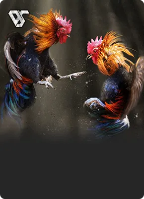 DS88 Cockfight